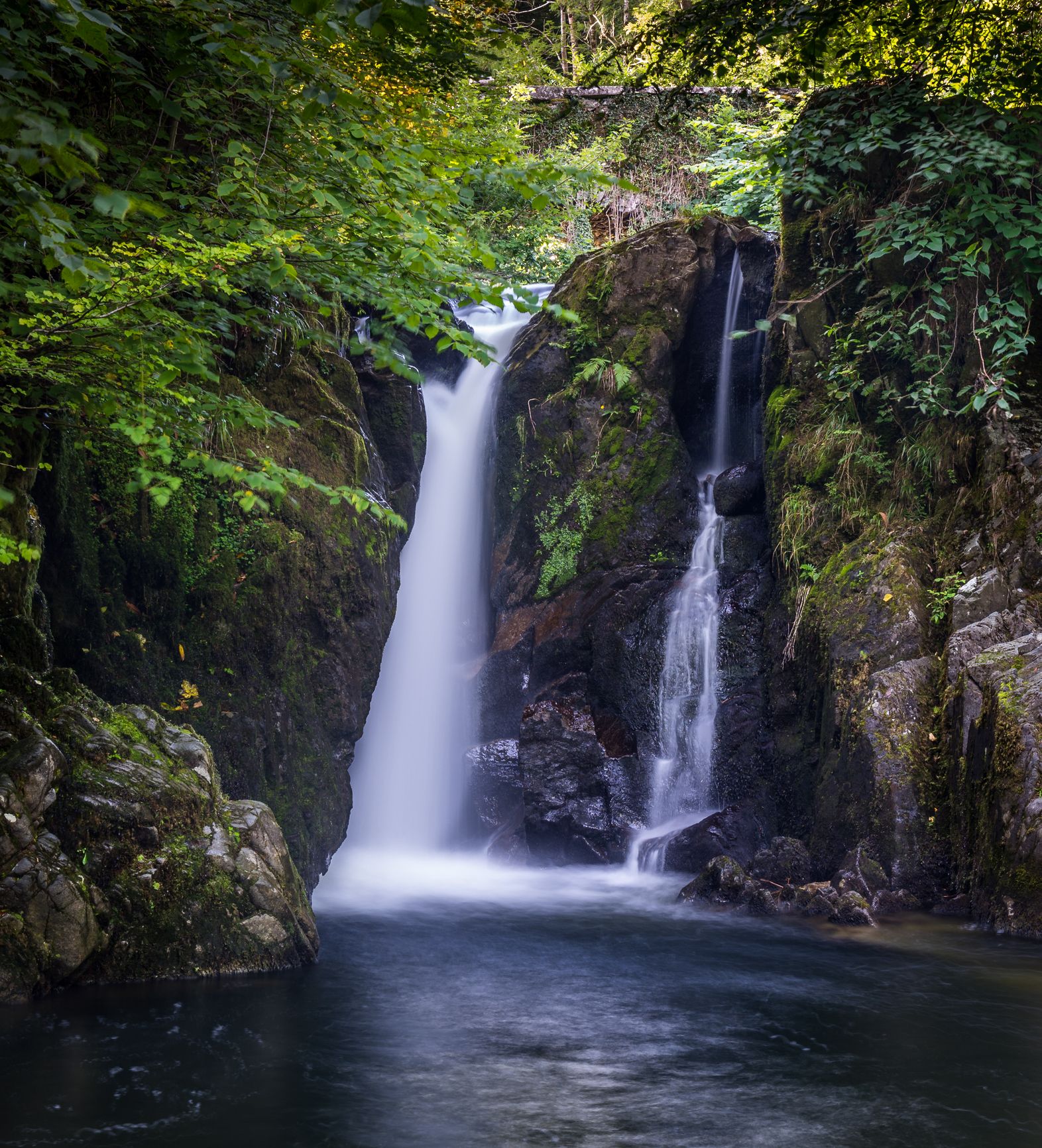 A serene waterfall cascades between moss-covered rocks into a calm pool, surrounded by lush green foliage in a tranquil forest setting.