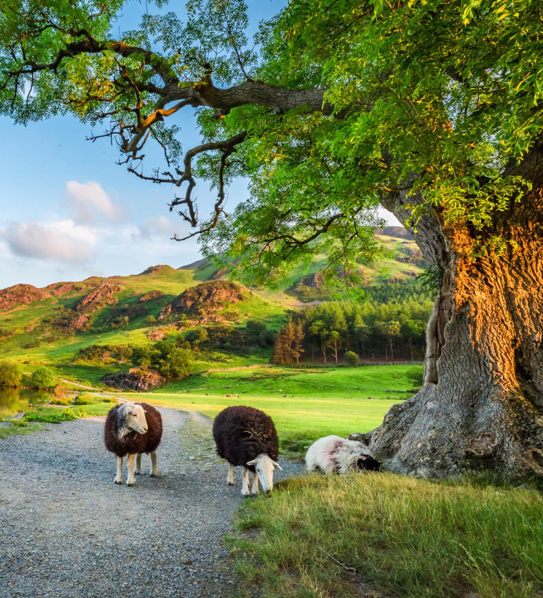 Grasmere - The Lake District - The Ro Hotel