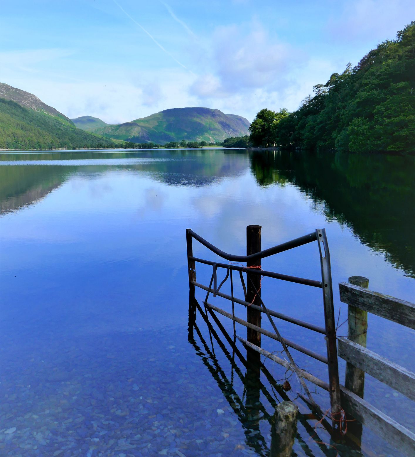 A calm lake reflects the surrounding green hills and a blue sky. A partially submerged metal gate stands in the water near a wooden fence, adding a rustic element to the scene.