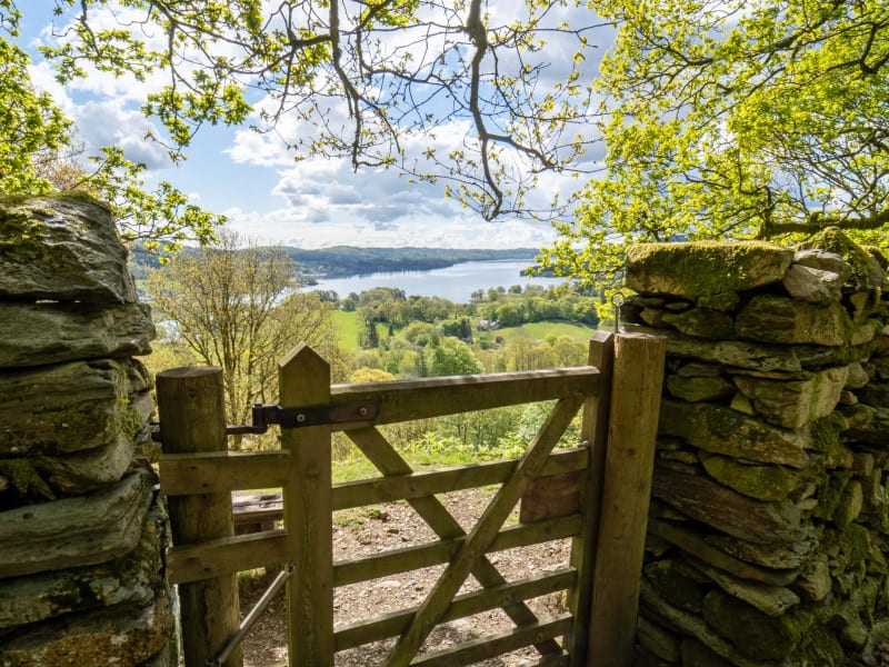 jonny-gios-T8qopwGfhC4-unsplash-min