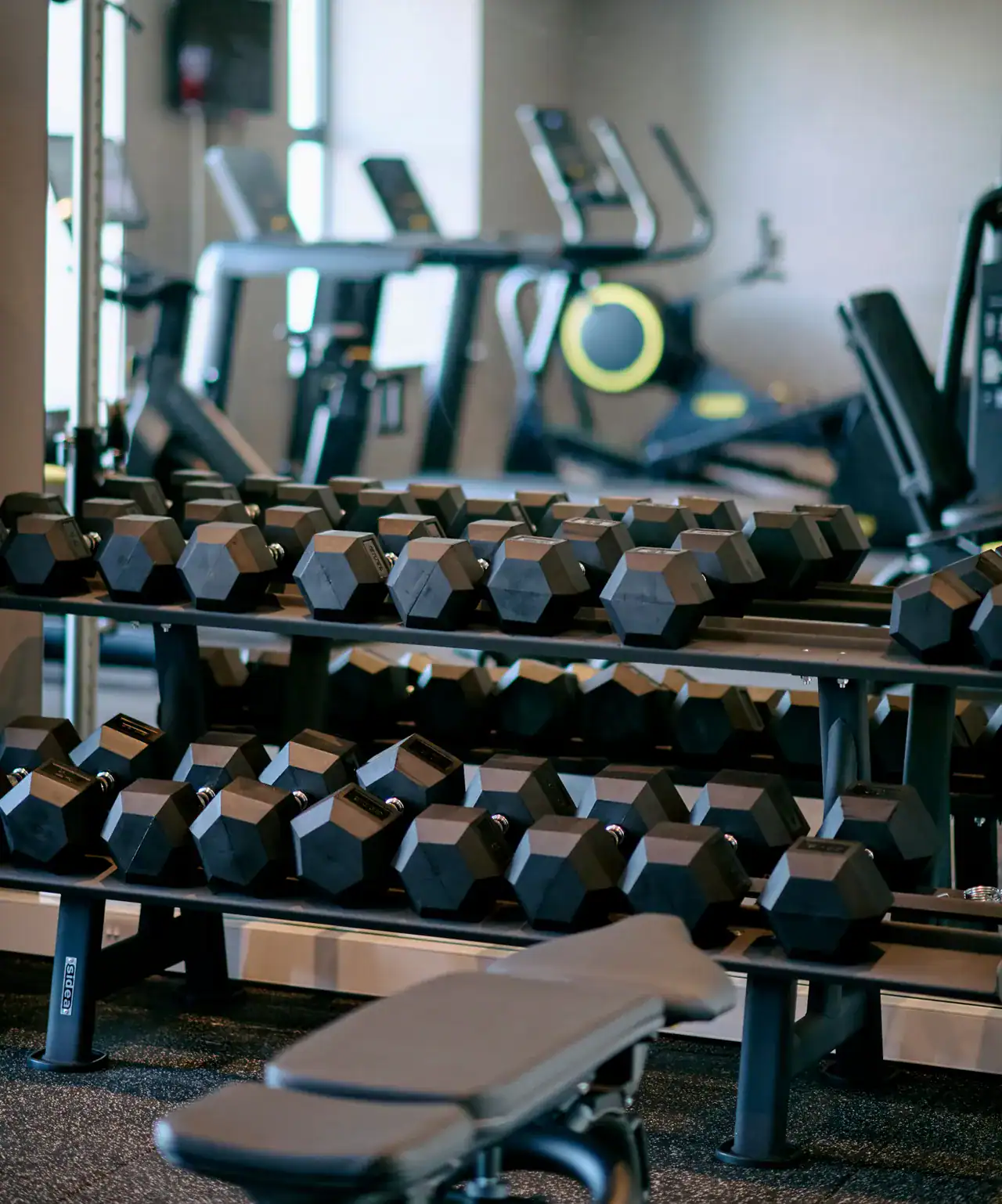 Modern gym with dumbbells, cardio machines, and workout equipment at The Ro Hotel.