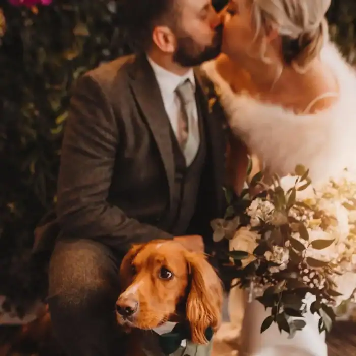 Cozy romantic moment at The Ro Hotel, featuring a couple and their adorable dog in elegant wedding attire.