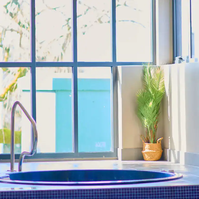 Luxurious hotel spa with large window and indoor plant at The Ro Hotel.