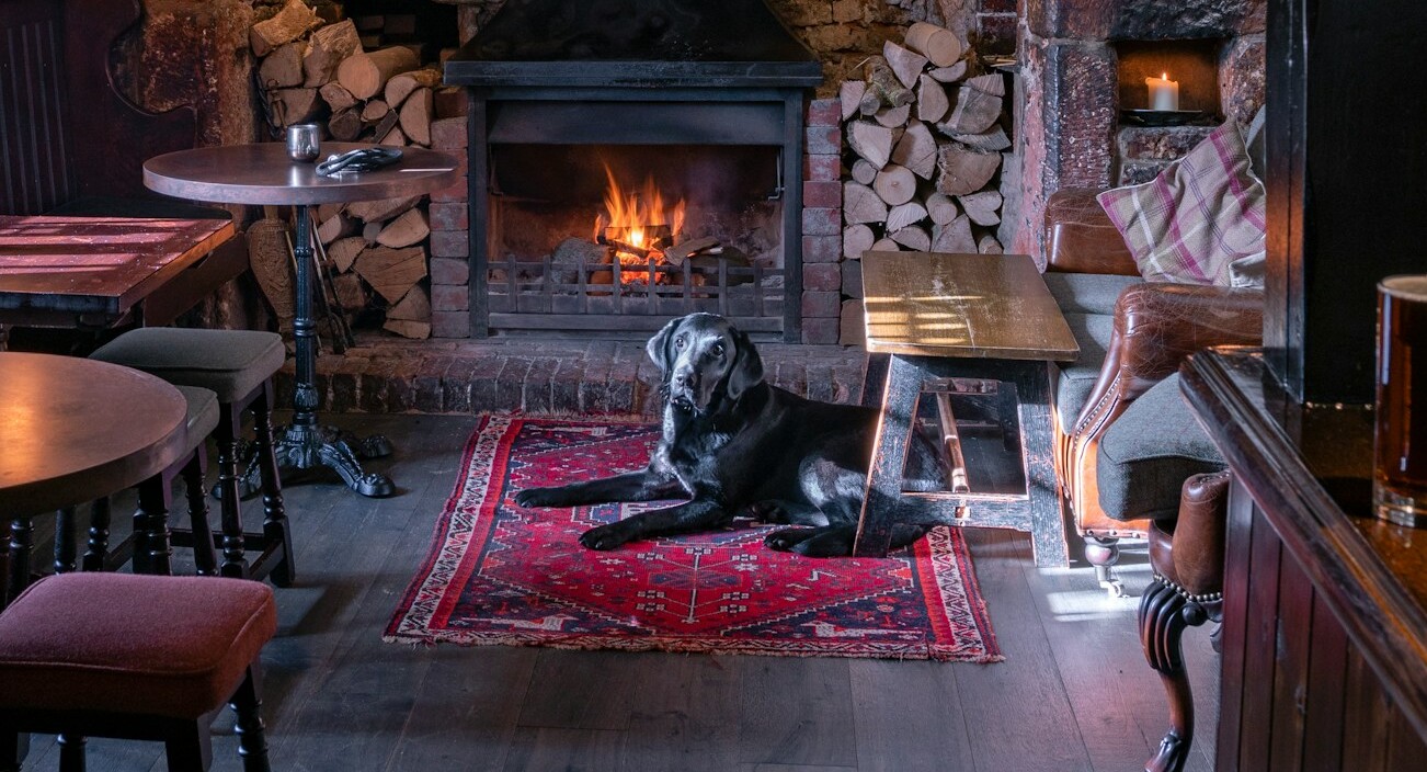 Dog Friendly Stay The Lake District The Ro Hotel Blog Image